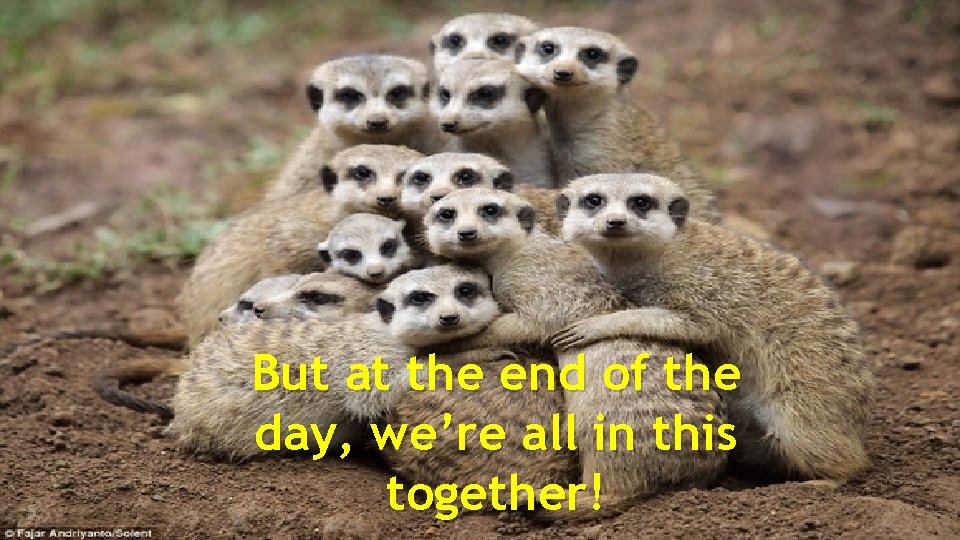 But at the end of the day, we’re all in this together! 