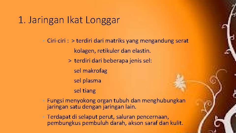 1. Jaringan Ikat Longgar • Ciri-ciri : > terdiri dari matriks yang mengandung serat