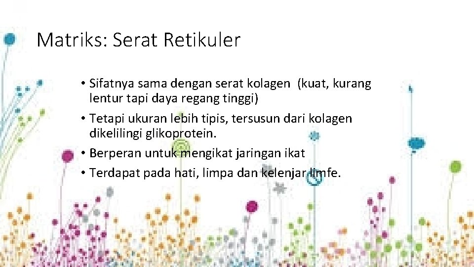 Matriks: Serat Retikuler • Sifatnya sama dengan serat kolagen (kuat, kurang lentur tapi daya