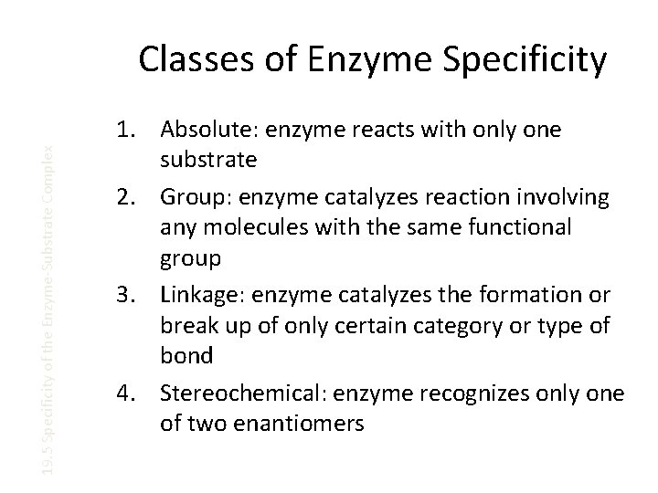 19. 5 Specificity of the Enzyme-Substrate Complex Classes of Enzyme Specificity 1. Absolute: enzyme