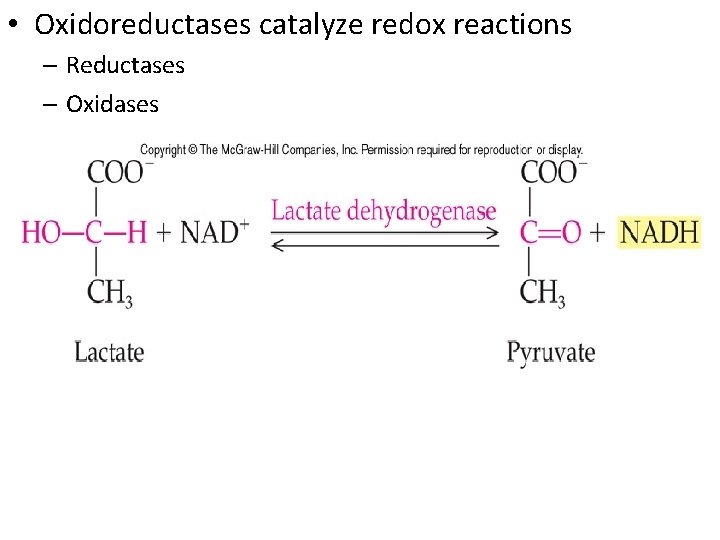  • Oxidoreductases catalyze redox reactions – Reductases – Oxidases 