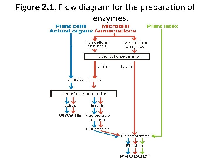 Figure 2. 1. Flow diagram for the preparation of enzymes. 