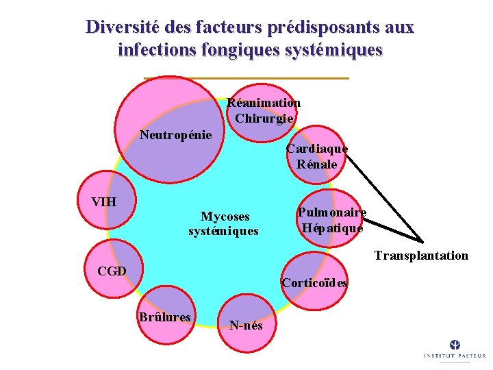 Diversité des facteurs prédisposants aux infections fongiques systémiques Réanimation Chirurgie Neutropénie VIH Cardiaque Rénale