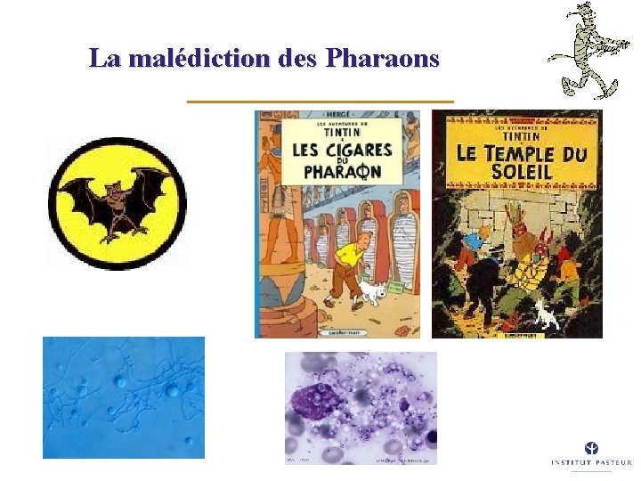 La malédiction des Pharaons 