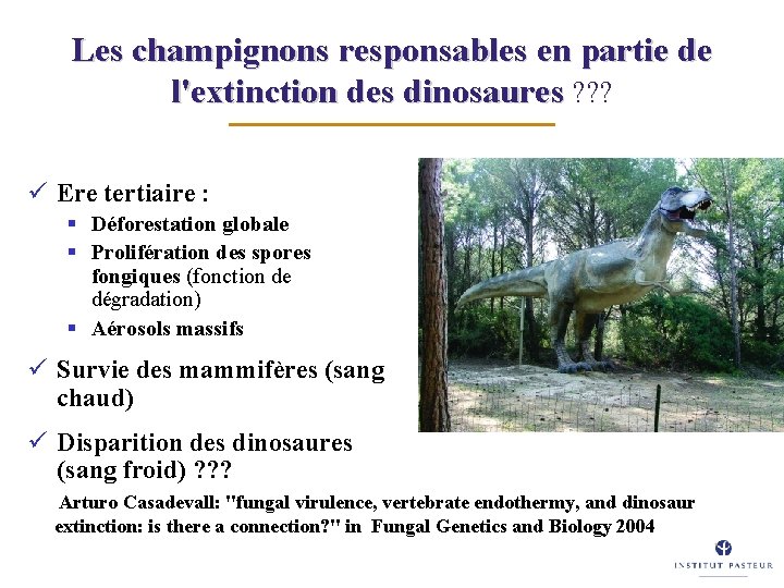 Les champignons responsables en partie de l'extinction des dinosaures ? ? ? ü Ere