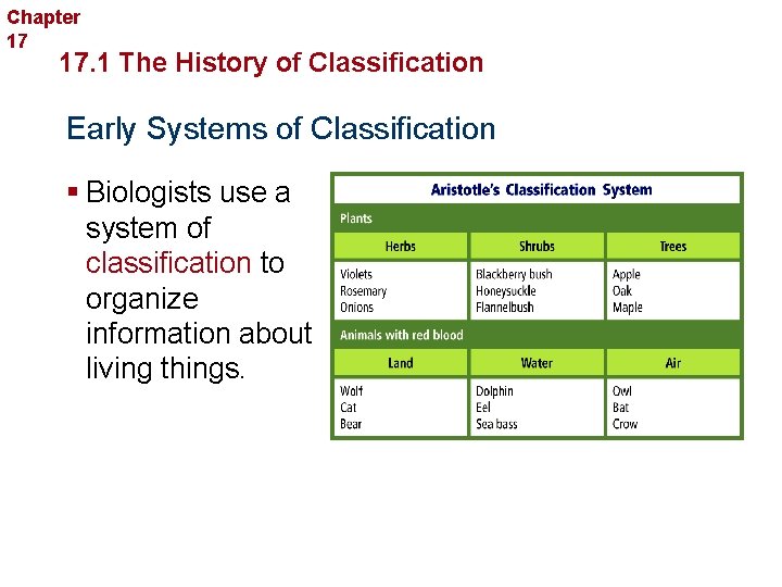 Chapter 17 Organizing Life’s Diversity 17. 1 The History of Classification Early Systems of