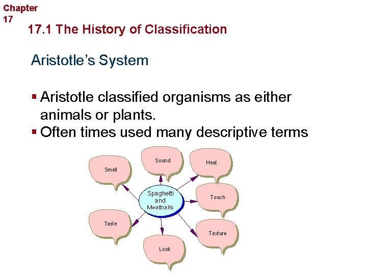 Chapter 17 Organizing Life’s Diversity 17. 1 The History of Classification Aristotle’s System §