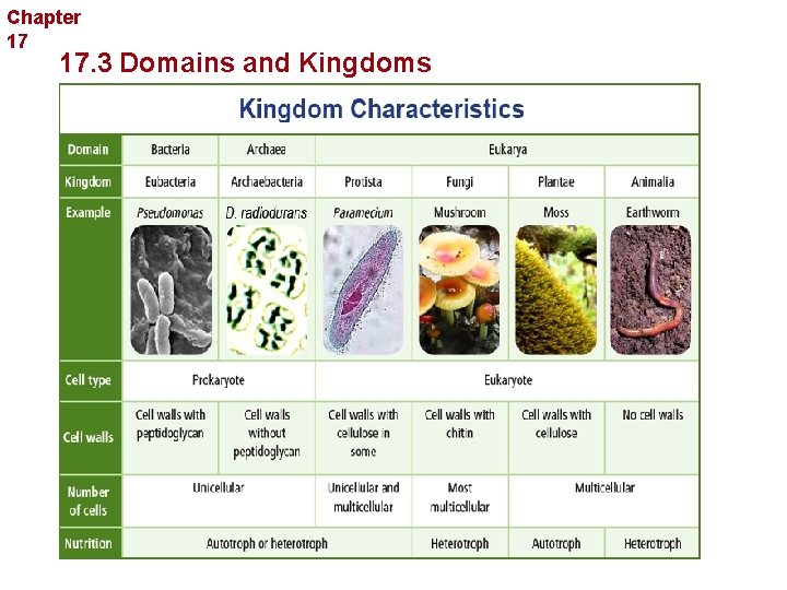 Chapter 17 Organizing Life’s Diversity 17. 3 Domains and Kingdoms 