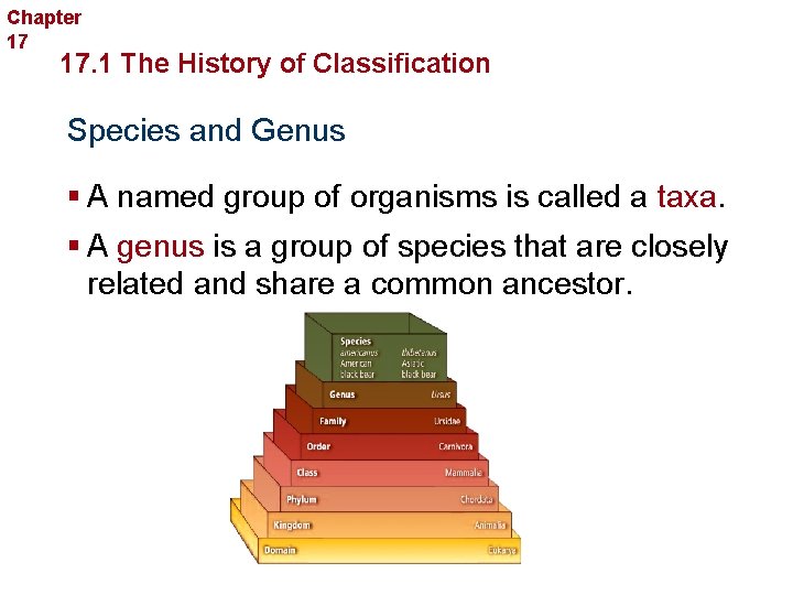 Chapter 17 Organizing Life’s Diversity 17. 1 The History of Classification Species and Genus