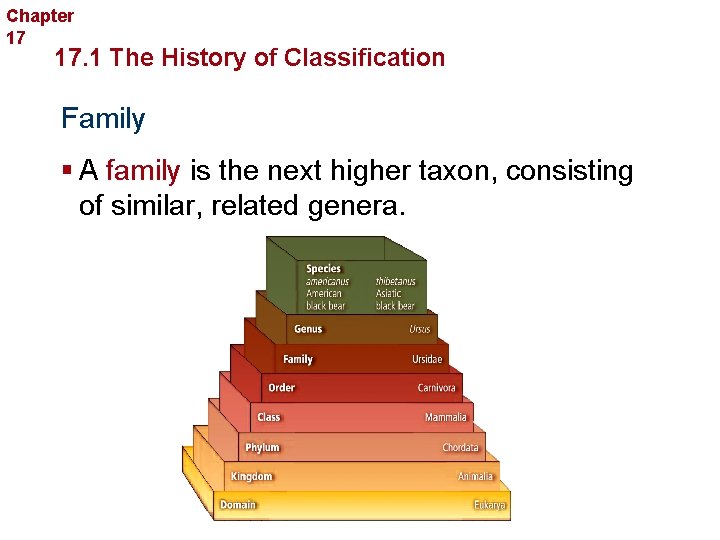 Chapter 17 Organizing Life’s Diversity 17. 1 The History of Classification Family § A