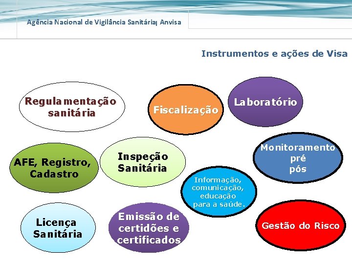 Agência Nacional de Vigilância Sanitária Anvisa Instrumentos e ações de Visa Regulamentação sanitária AFE,