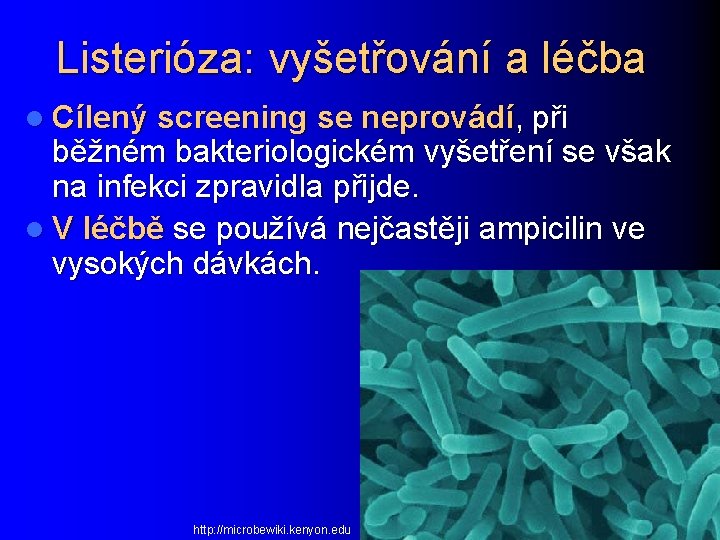 Listerióza: vyšetřování a léčba l Cílený screening se neprovádí, při běžném bakteriologickém vyšetření se