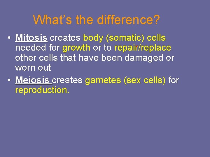 What’s the difference? • Mitosis creates body (somatic) cells needed for growth or to