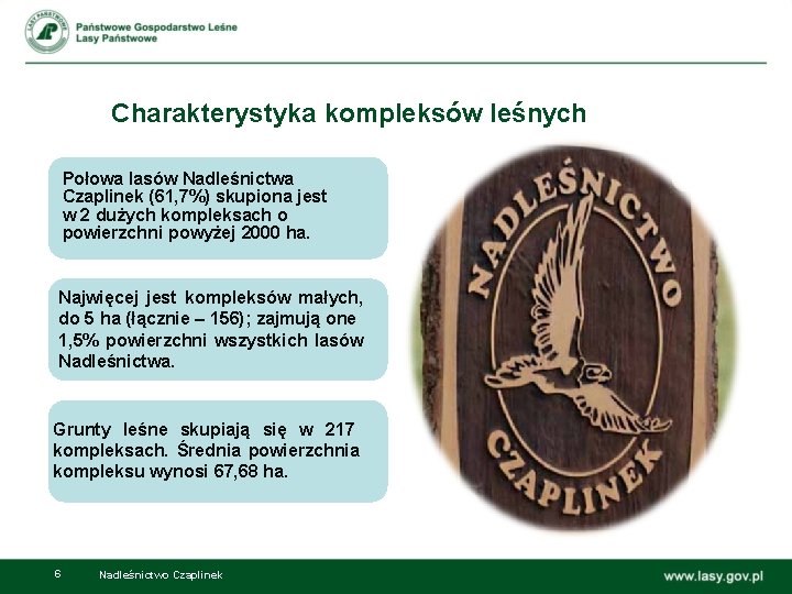 Charakterystyka kompleksów leśnych Połowa lasów Nadleśnictwa Czaplinek (61, 7%) skupiona jest w 2 dużych