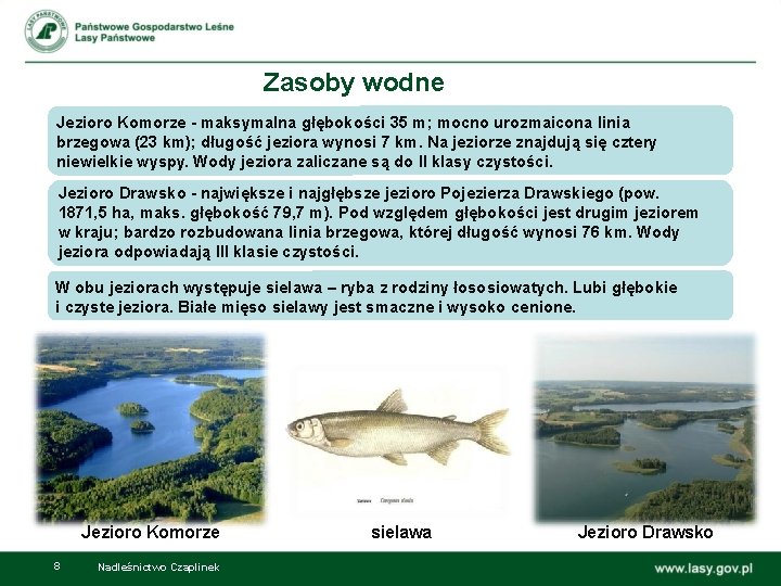 Zasoby wodne Jezioro Komorze - maksymalna głębokości 35 m; mocno urozmaicona linia brzegowa (23