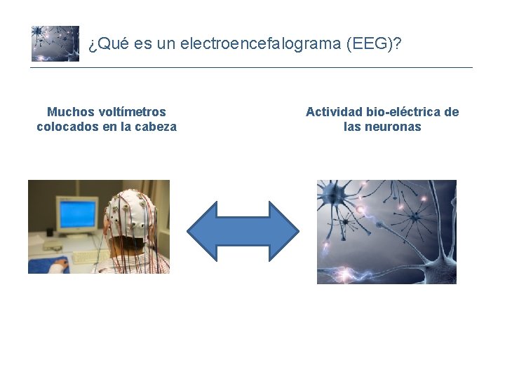 ¿Qué es un electroencefalograma (EEG)? Muchos voltímetros colocados en la cabeza Actividad bio-eléctrica de
