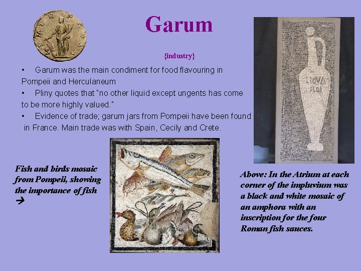 Garum {industry} • Garum was the main condiment for food flavouring in Pompeii and