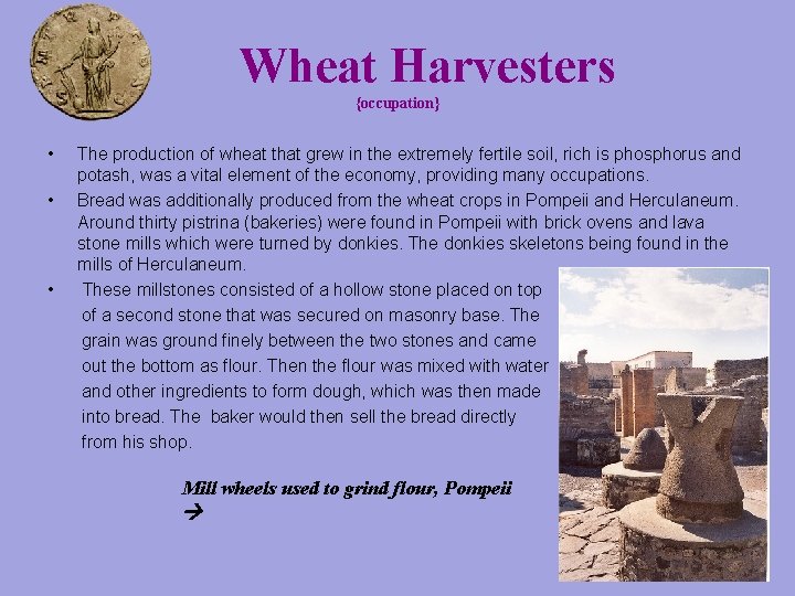 Wheat Harvesters {occupation} • • • The production of wheat that grew in the