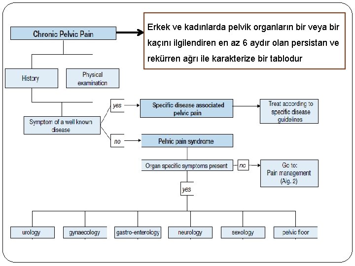 Erkekve ve kadınlarda pelvik organların bir veya bir kaçınıilgilendiren en en az az 66
