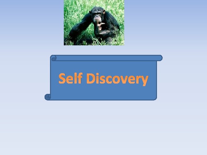 Self Discovery 