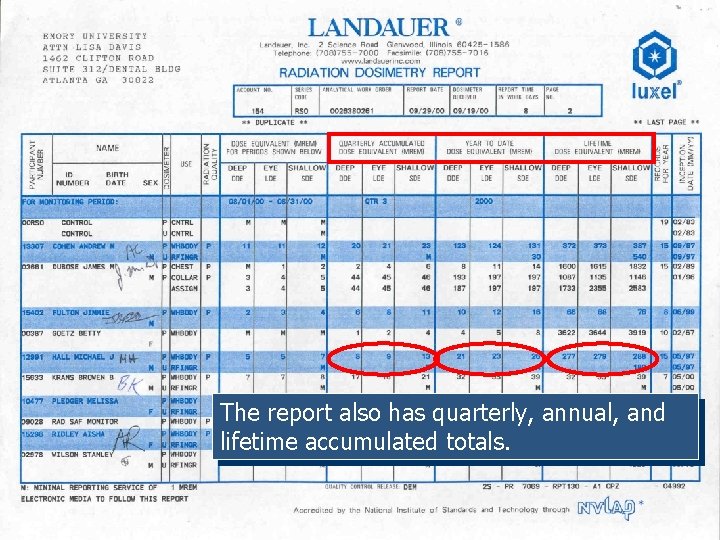 The report also has quarterly, annual, and lifetime accumulated totals. 