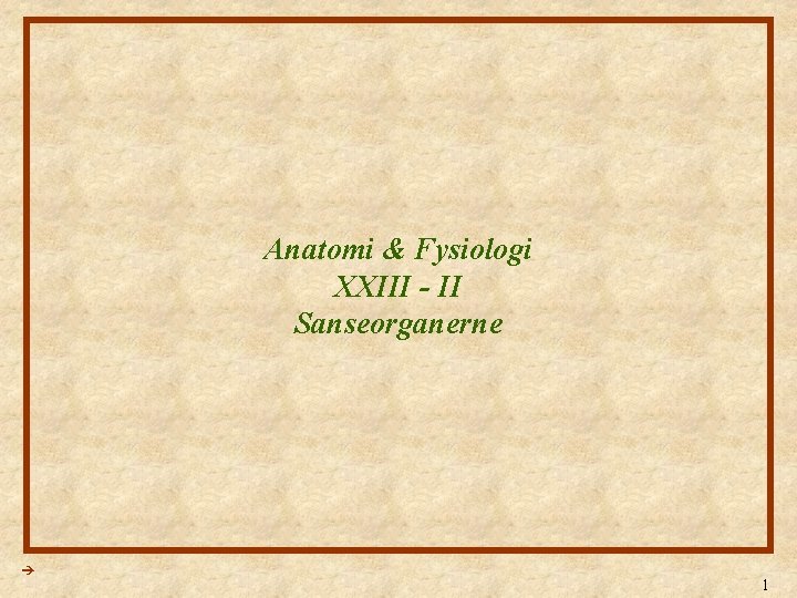 Anatomi & Fysiologi XXIII - II Sanseorganerne 1 