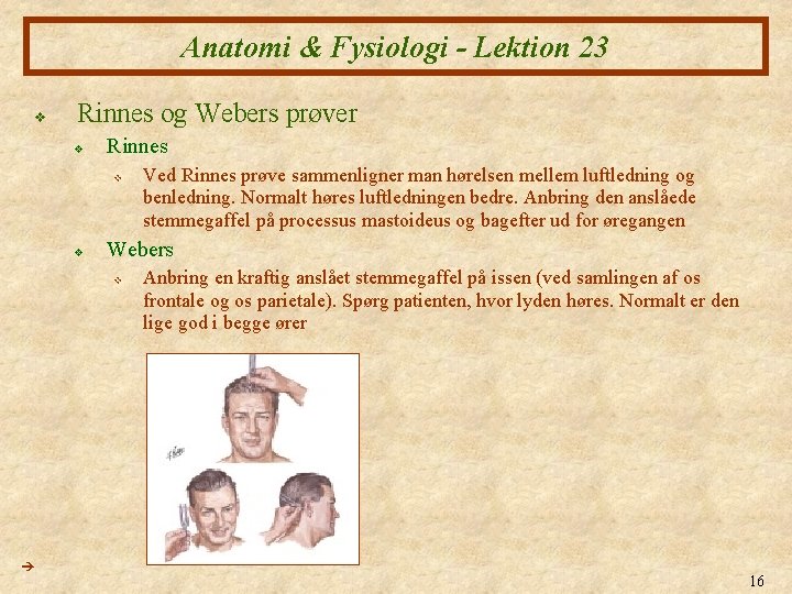 Anatomi & Fysiologi - Lektion 23 v Rinnes og Webers prøver v Rinnes v