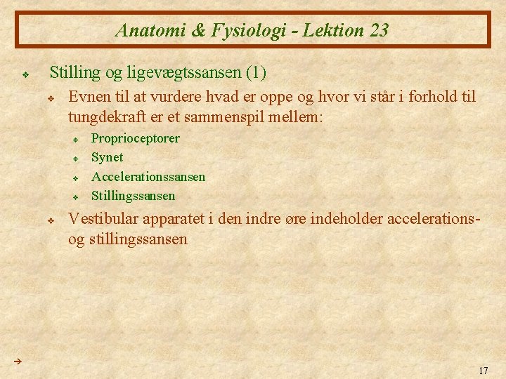 Anatomi & Fysiologi - Lektion 23 v Stilling og ligevægtssansen (1) v Evnen til