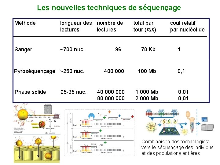 Les nouvelles techniques de séquençage Méthode longueur des nombre de lectures Sanger ~700 nuc.