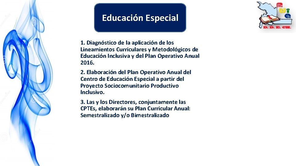 Educación Especial 1. Diagnóstico de la aplicación de los Lineamientos Curriculares y Metodológicos de