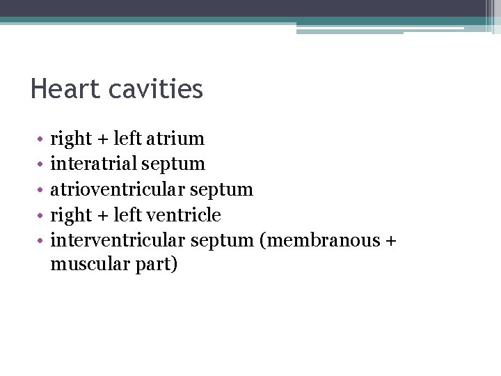 Heart cavities • • • right + left atrium interatrial septum atrioventricular septum right