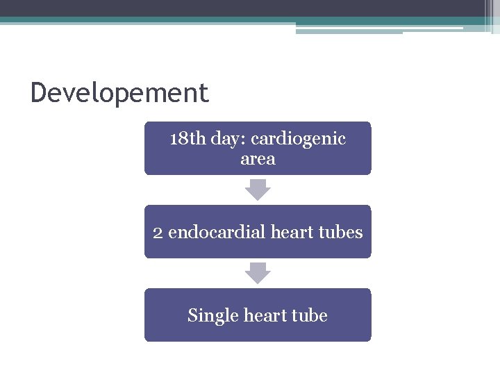 Developement 18 th day: cardiogenic area 2 endocardial heart tubes Single heart tube 