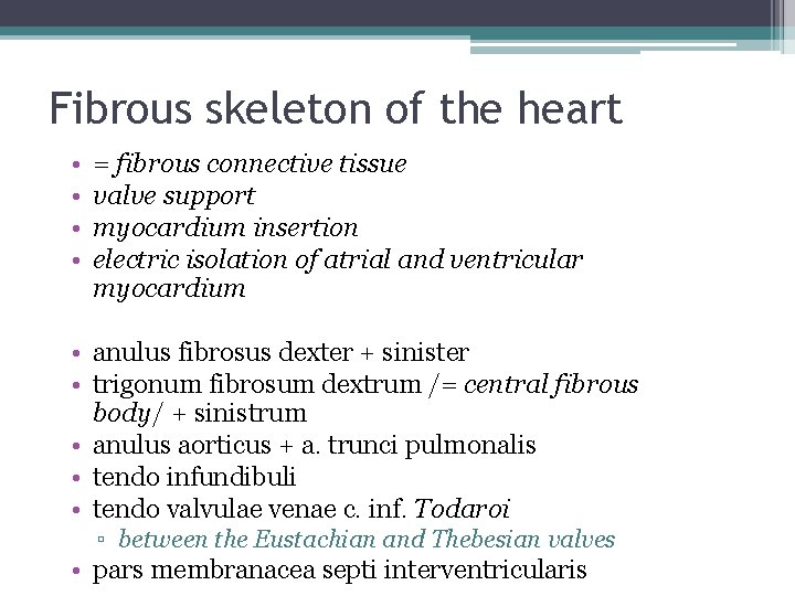 Fibrous skeleton of the heart • • = fibrous connective tissue valve support myocardium
