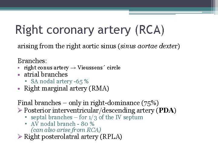 Right coronary artery (RCA) arising from the right aortic sinus (sinus aortae dexter) Branches: