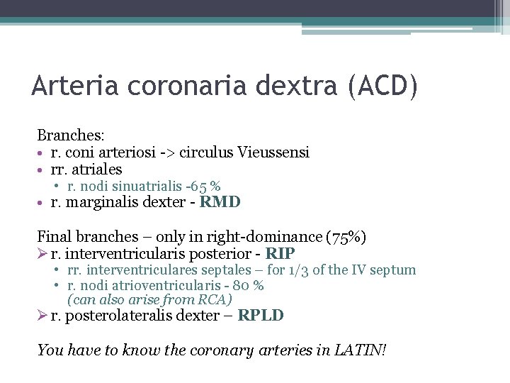 Arteria coronaria dextra (ACD) Branches: • r. coni arteriosi -> circulus Vieussensi • rr.