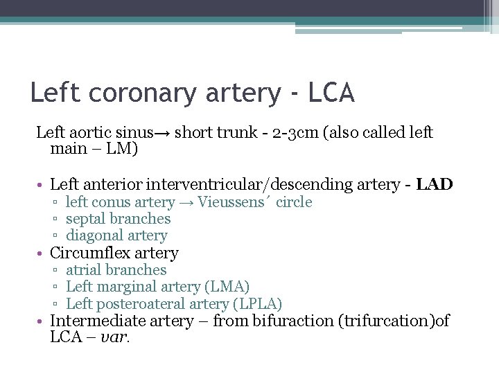 Left coronary artery - LCA Left aortic sinus→ short trunk - 2 -3 cm