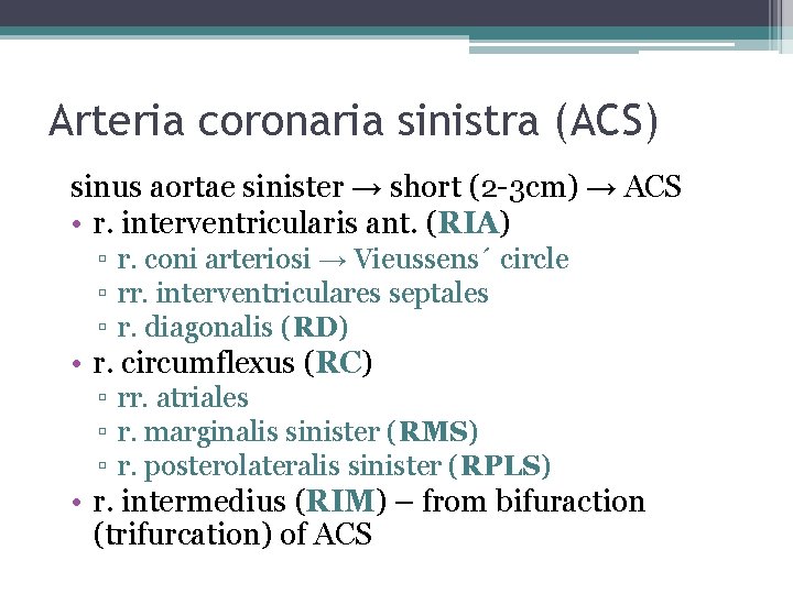 Arteria coronaria sinistra (ACS) sinus aortae sinister → short (2 -3 cm) → ACS