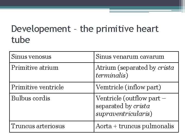 Developement – the primitive heart tube Sinus venosus Sinus venarum cavarum Primitive atrium Atrium