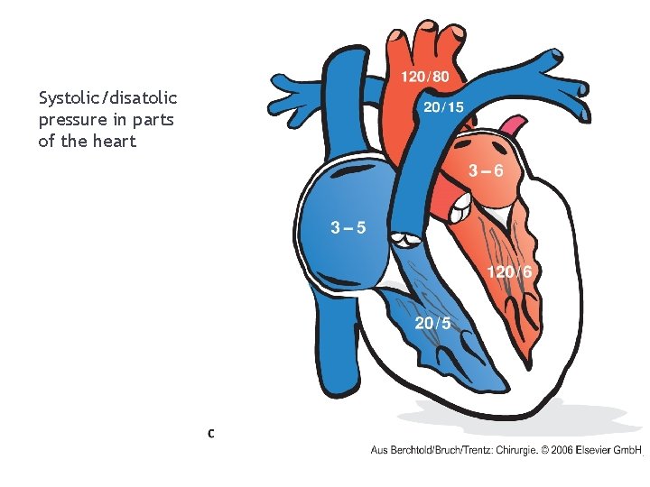 Systolic/disatolic pressure in parts of the heart 