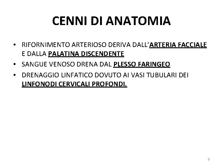 CENNI DI ANATOMIA • RIFORNIMENTO ARTERIOSO DERIVA DALL’ARTERIA FACCIALE E DALLA PALATINA DISCENDENTE • CENNI DI ANATOMIA • RIFORNIMENTO ARTERIOSO DERIVA DALL’ARTERIA FACCIALE E DALLA PALATINA DISCENDENTE •
