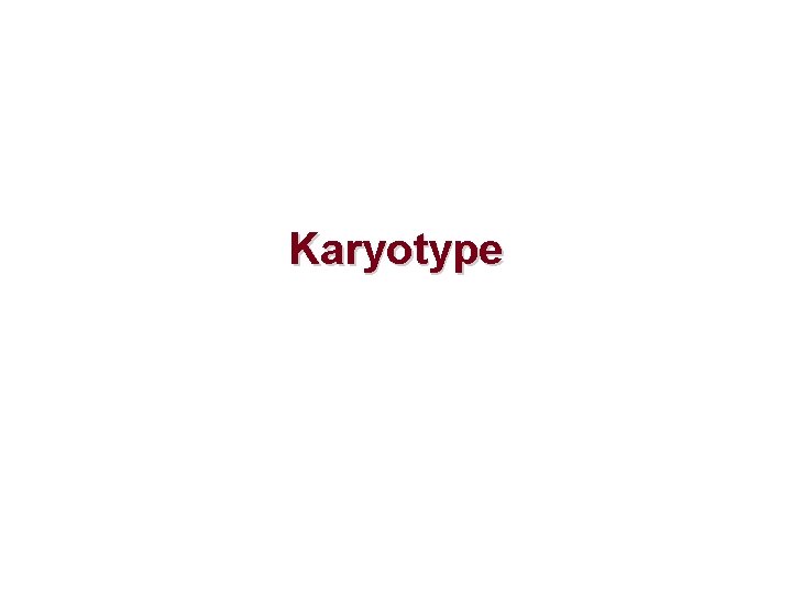 Karyotype 