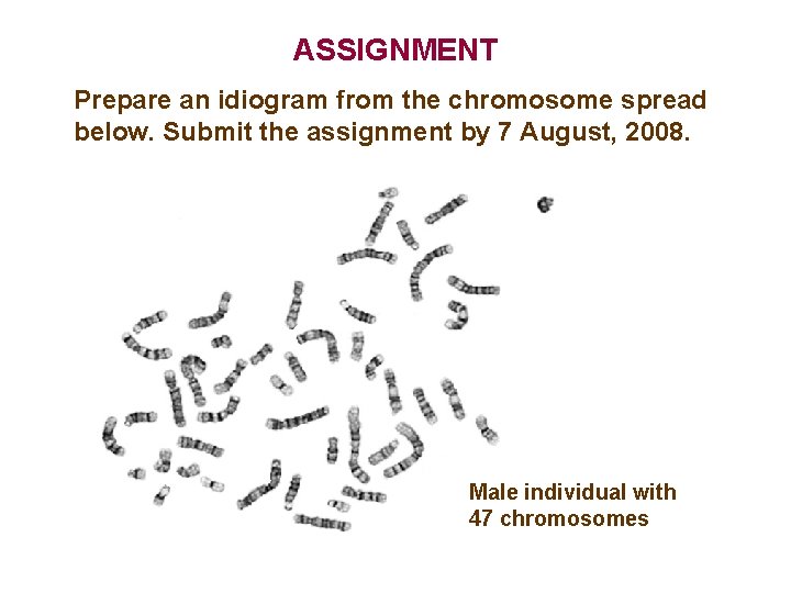 ASSIGNMENT Prepare an idiogram from the chromosome spread below. Submit the assignment by 7