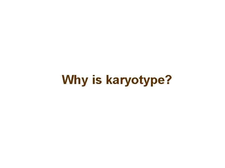 Why is karyotype? 