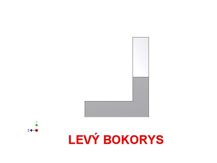 LEVÝ BOKORYS 