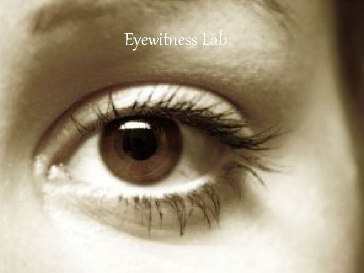 Eyewitness Lab 