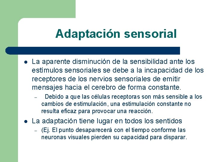 Adaptación sensorial l La aparente disminución de la sensibilidad ante los estímulos sensoriales se