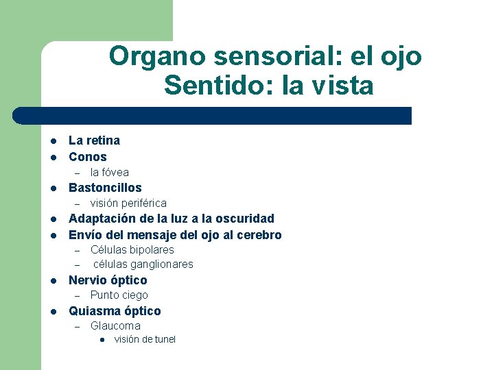 Organo sensorial: el ojo Sentido: la vista l l La retina Conos – l