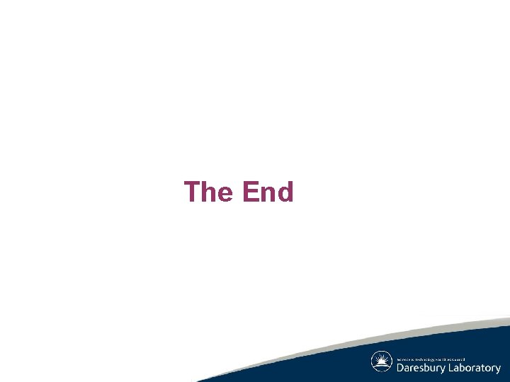 The End The End