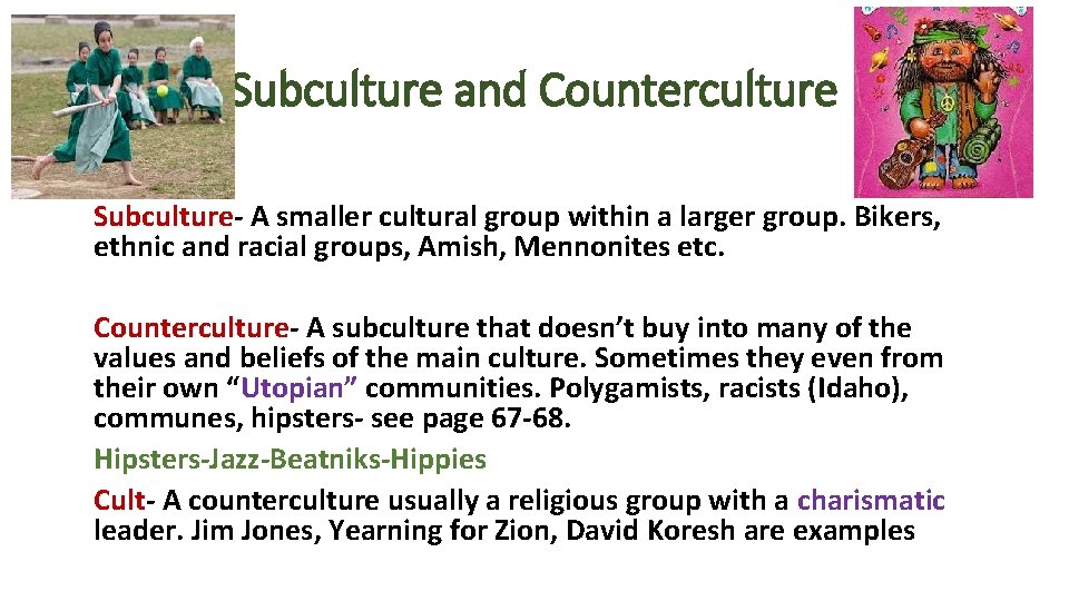 Subculture and Counterculture Subculture- A smaller cultural group within a larger group. Bikers, ethnic