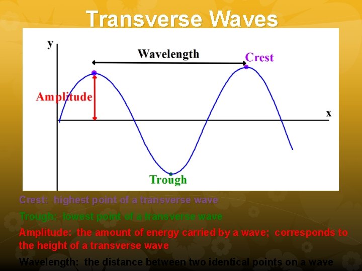 Transverse Waves Crest: highest point of a transverse wave Trough: lowest point of a Transverse Waves Crest: highest point of a transverse wave Trough: lowest point of a